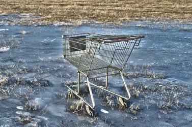 $shopping-cart.webp