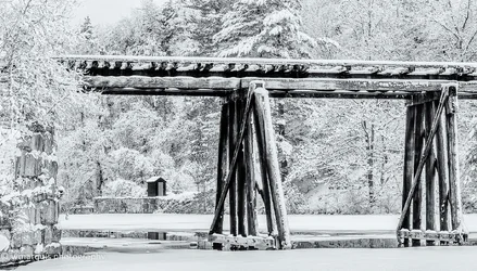 $snowy trestle-2.webp