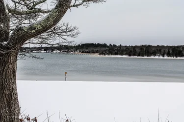 $IMG_0724.webp