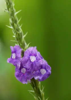 $_DSC3704-B.webp $_DSC3704-B.webp