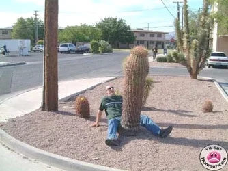 $cactus_dick.webp