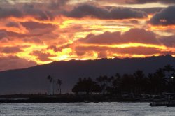 $Hawaii Sony_1395e.jpg