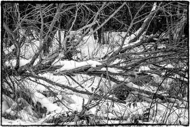 $untitled-2-Edit.webp