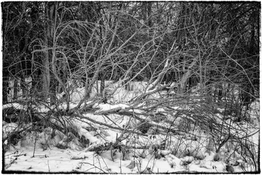 $untitled-4-Edit.webp