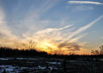 $Sunset Flight.webp
