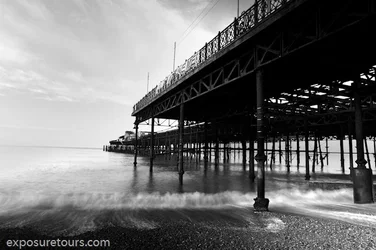$the pier-2.webp