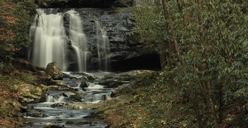 $GSMNP Waterfall.webp
