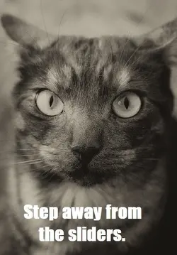 $Step away from the sliders.webp
