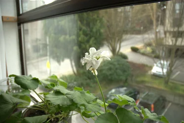 $_DSC0046.webp