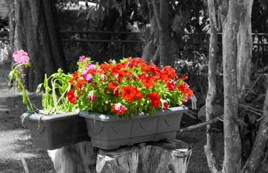 $IMG_7327.webp