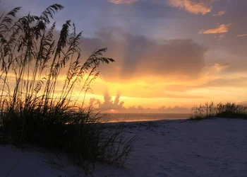 $beach.webp