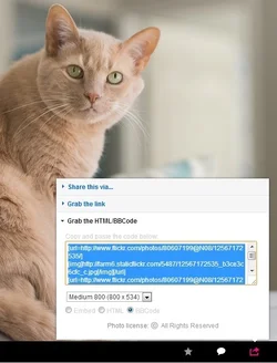 $flickr_bbcode.webp $flickr_bbcode.webp