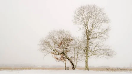 $_SNO4788-3.webp