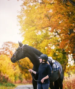 $horse1.webp $horse1.webp