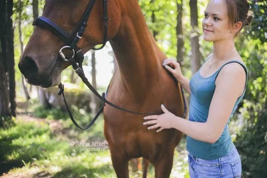$horse3.webp $horse3.webp