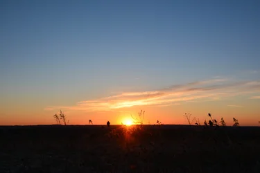 $Sunrise Twin Valley_.webp