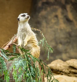$_MG_5760.webp