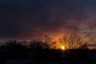 $Irving-Photography-Denver-3.webp