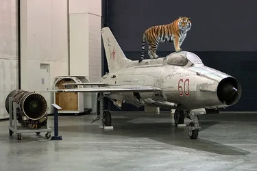 $tiger.webp $tiger.webp