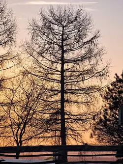 $P3020001-Edit-2.webp