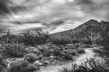 $desert.webp