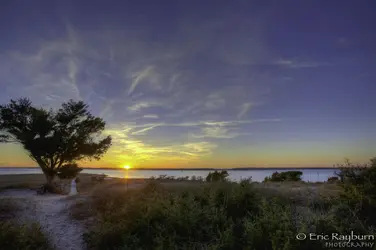$SunsetFisher2-Edit.webp