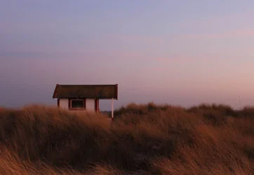 $Beach Hut.webp
