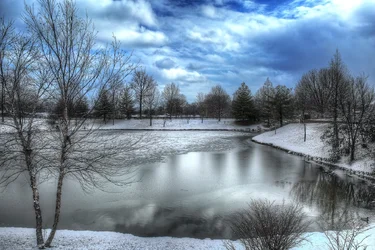 $DB5A8176 snow 8.webp