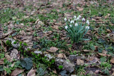 $nature_090214_0042 (Large).webp $nature_090214_0042 (Large).webp