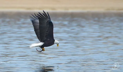 $Fishing 4 small (1 of 1).webp