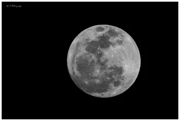 $Moon F.webp $Moon F.webp