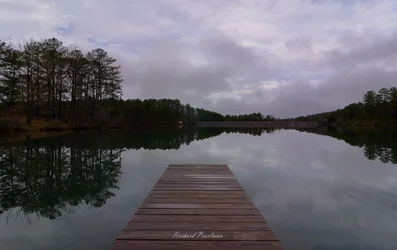 $Peaceful Pond Web.webp