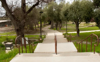 $_MG_2165.webp