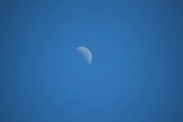 $IMG_1446.webp