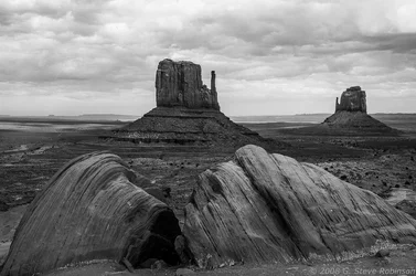 $MV_Twins_B_W-200764.webp