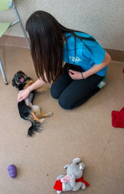 $_MG_2634.webp