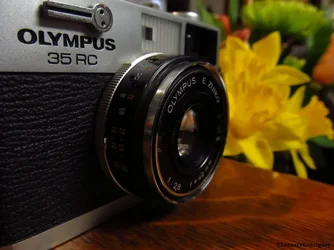 $Day 70 - Olympus and flowers.webp