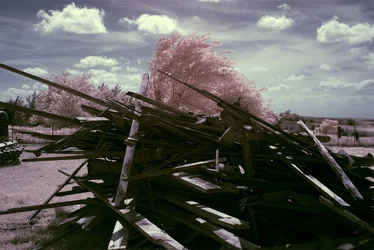 $Color IR Wood Pile .webp $Color IR Wood Pile .webp