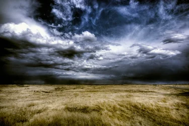 $Stormy smaller.webp