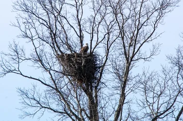 $DSC04801b.webp