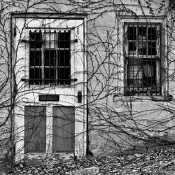 $Door and Window with Vines.webp