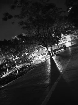 $Long Shadows.webp