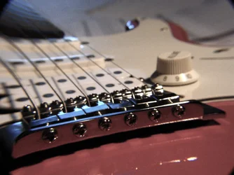 $guitar macro.webp