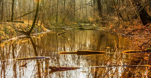 $calm waters HDR finished.webp