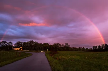 $Rainbow.webp