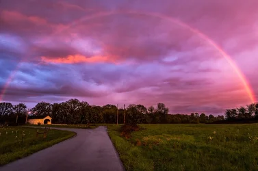 $Rainbow-edit.webp