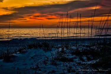 $Florida Sunset 2.jpg