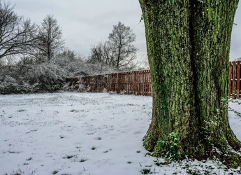 $April Snow Showers.webp