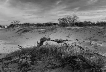 $Sand Dune 2 Web.webp