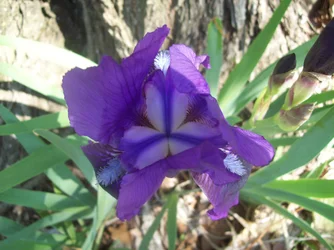 $102_5399.webp